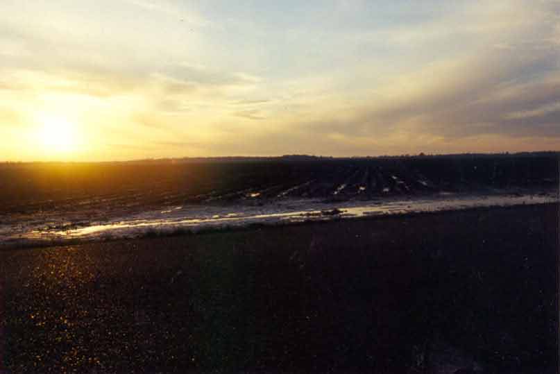photo of delta horizon